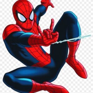 Custom order for spider man